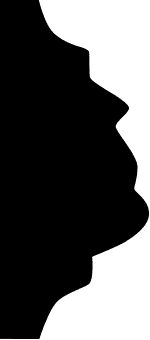 Secțiune transversală — Profil decorativ perete 1.51.312